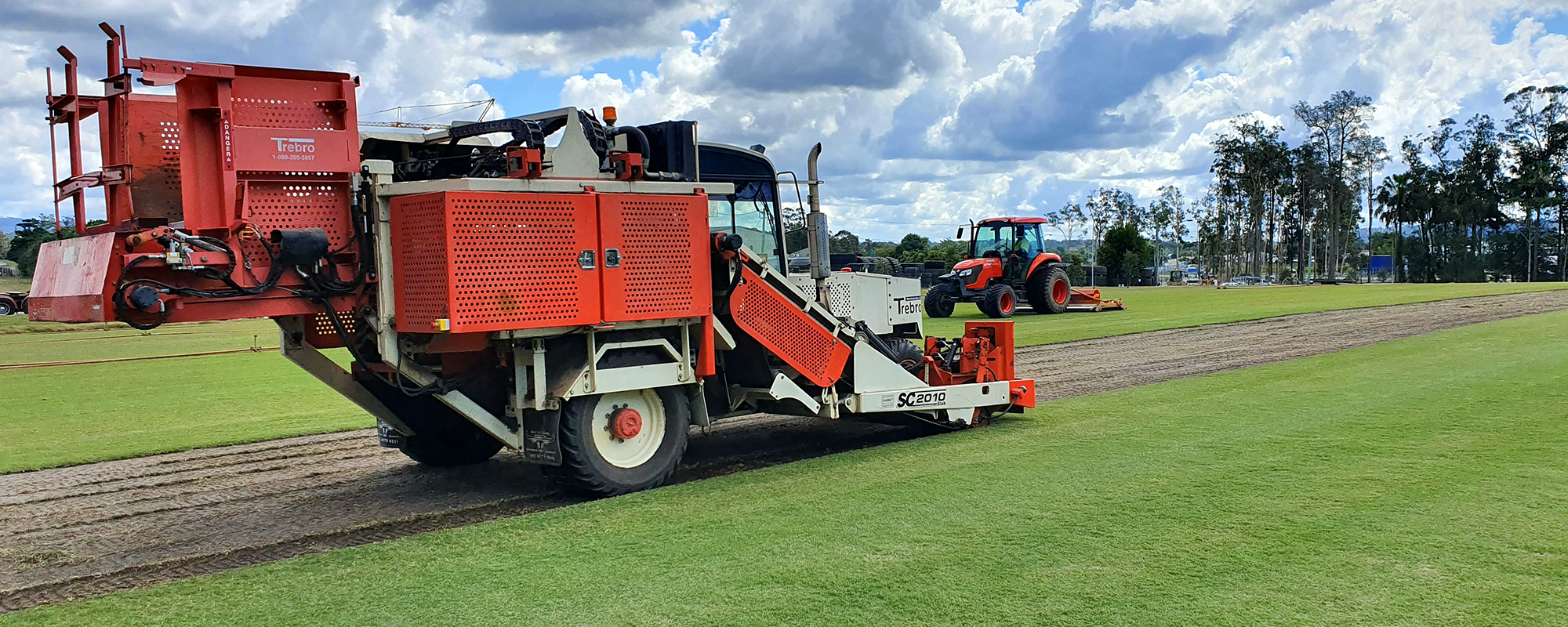 Exquisite Turf Varieties